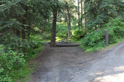Kamiak Butte County Park Camping Space