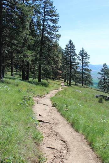 Kamiak Butte County Park Hiking Trail